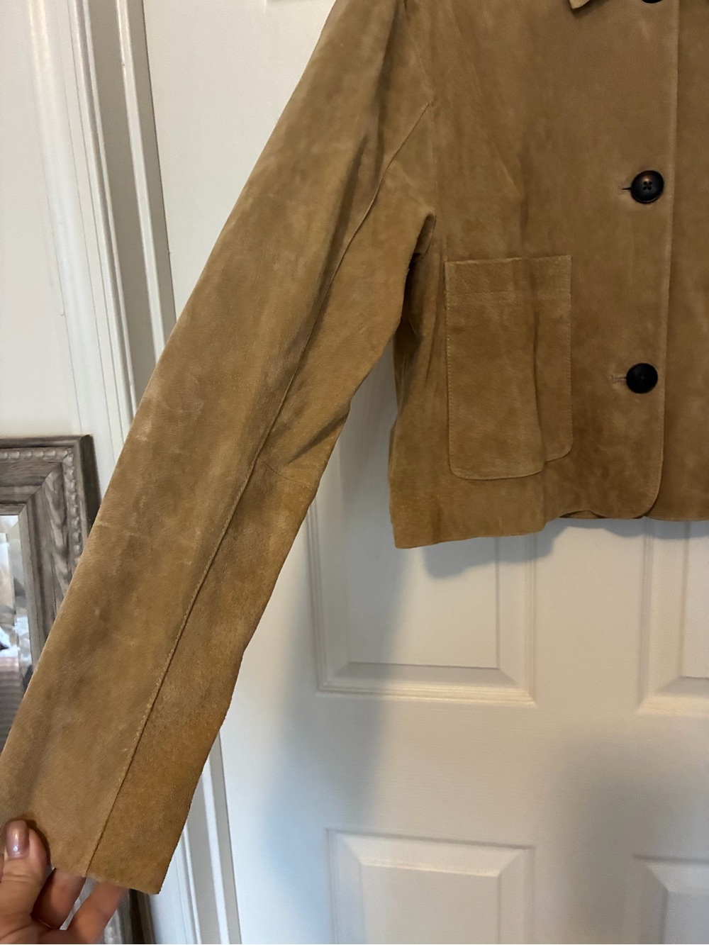 NWT BLANKNYC Anthropologie Cropped Genuine Suede Jacket Large - Picture 4 of 11